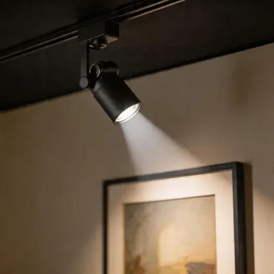 spotlight
